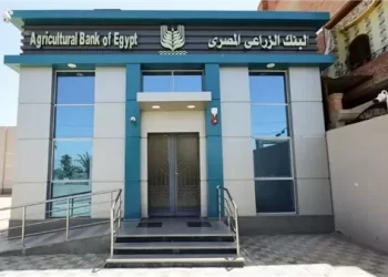 البنك الزراعي يضخ 25.6 مليار جنيه لتمويل قروض المحاصيل بنهاية الربع الثالث