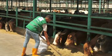 “تحت شعار الخير فرحة”.. من مزارعنا للمستفدين مصر الخير تطلق حملة صك الأضحية لعام٢٠٢٥