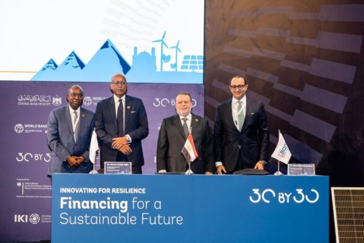 مستقبل التمويل في مصر.. كيف يخطط البنك المركزي لمواجهة تغير المناخ عبر "الابتكار الأخضر"؟ 1 مستقبل التمويل في مصر.. كيف يخطط البنك المركزي لمواجهة تغير المناخ عبر “الابتكار الأخضر”؟